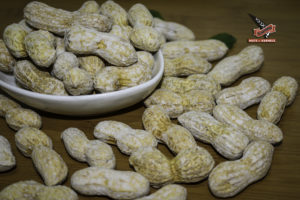 فستق مع قشرة J0004