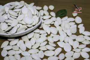 بزر قرع حبة كبيرة G0001